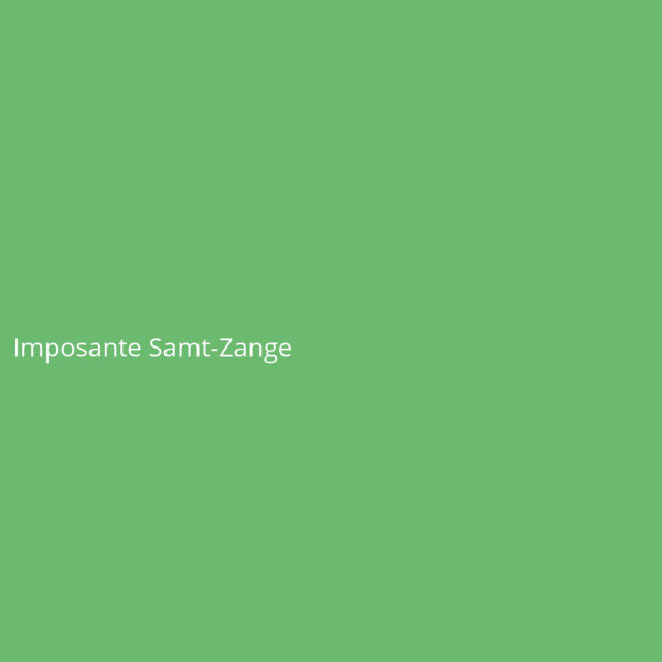 Imposante Samt-Zange