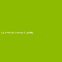 Eigenwillige Viscose-Rutsche